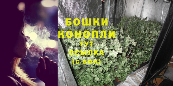 дмт Белокуриха