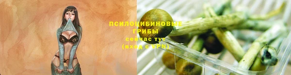наркотики Богородицк