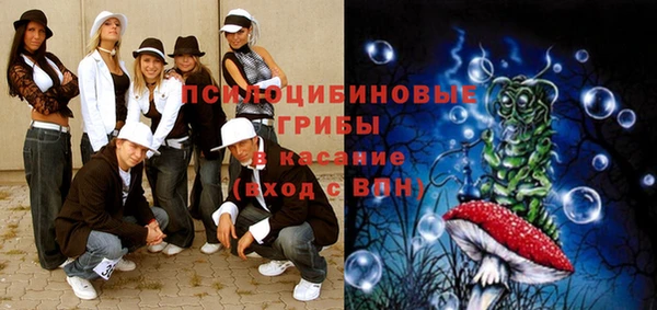 дмт Белокуриха