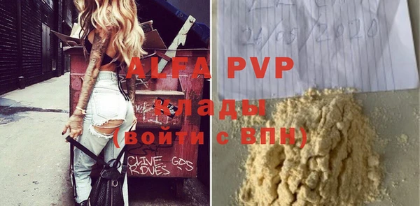 дмт Богданович
