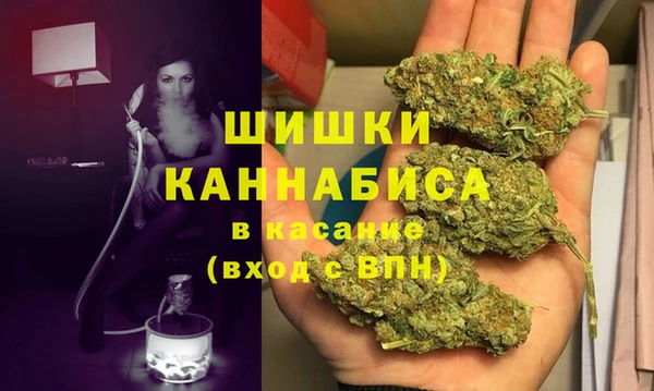 дмт Богданович