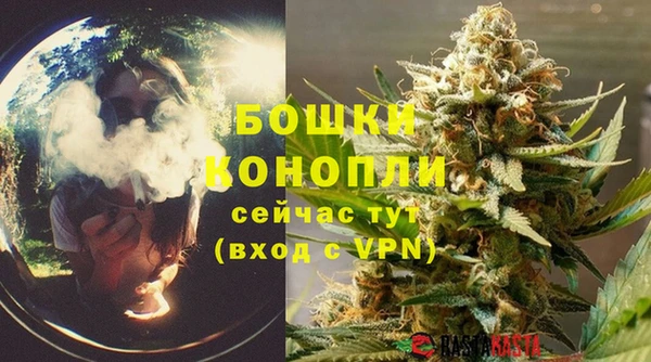 дмт Белокуриха