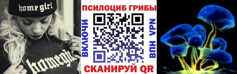 купить наркотик  Белорецк  Псилоцибиновые грибы мицелий 